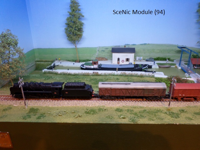 SceNic Module_1