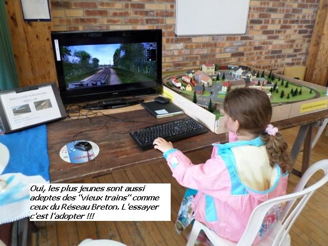 Simulation