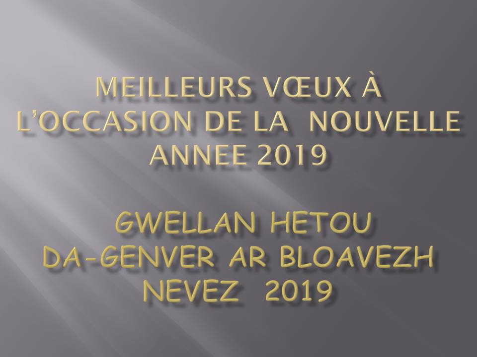 Voeux 2019_Site